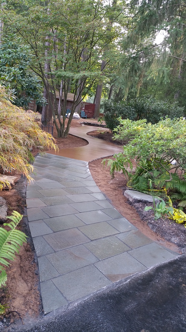 Bluestone walkway through landscaped garden