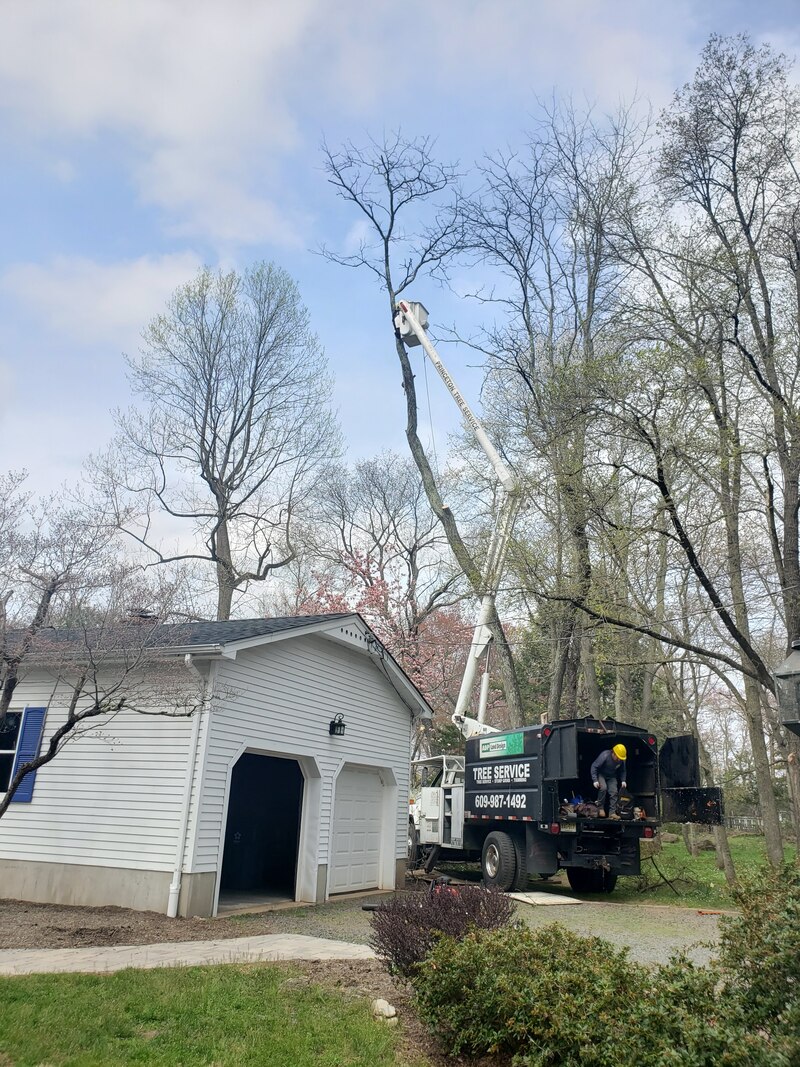 ADP tree service crew with crane truck