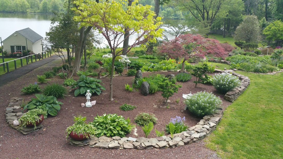 Lush serenity garden by a lake